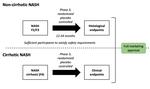 Defining endpoints in clinical studies in NASH